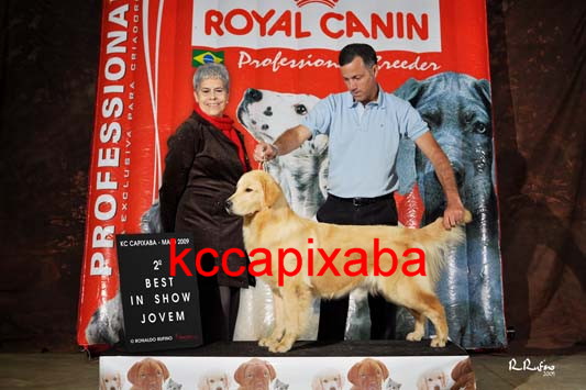 Clique sobre a foto para fechar